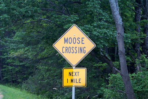 moosecross