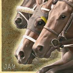 Breeders' Cup 2007 program cover detail