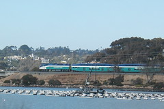 A northbound Coaster skitters across a lagoon just south of Carlsbad, Ca