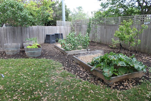 Vegetable patch - Spring 2010