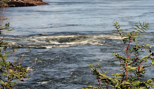 reversing rapids st. john nb 2010-09-20 017