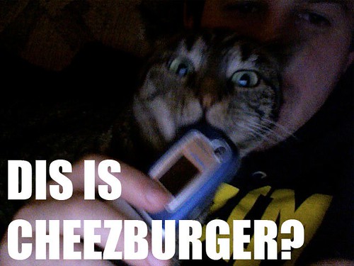 DIS IS CHEEZEBURGER?