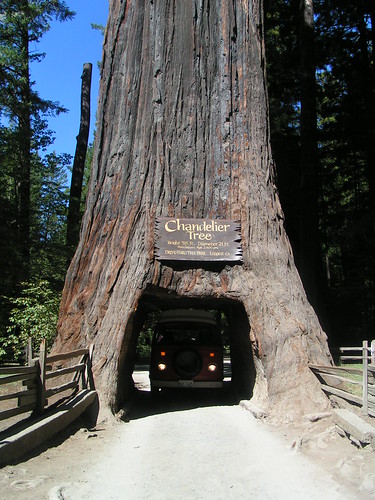 Drive-Thru Sequoia I