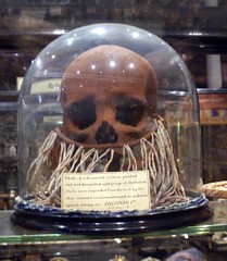 Andaman skull