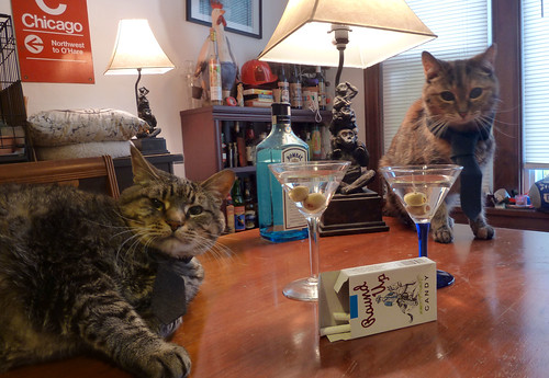 Parker and Latte as Mad Men