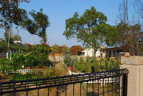 garden in the school grounds