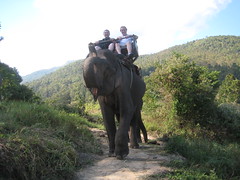 Elephant Tour Chiang Mai