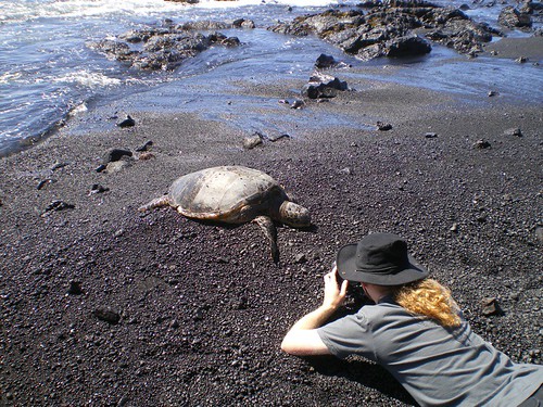 Boy and Turtle (Black Sand Beach)