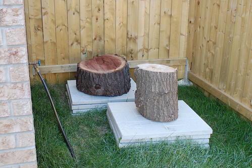 Walnut and Maple Logs