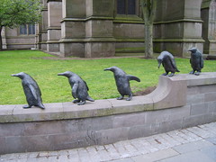 Penguin Conga Line