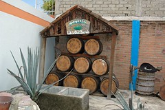 Tequila A 5-barreling