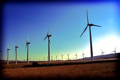 Quatro municípios da Bahia vão ter energia produzida pelos ventos