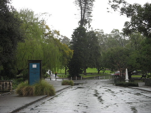 Rainy Parramatta