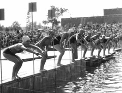 Ten swimmers lining up to start a race at Gree...