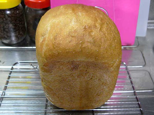 ホームベーカリーで2010年6月24日に作ったパン