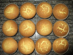 Cupcakes1_0098