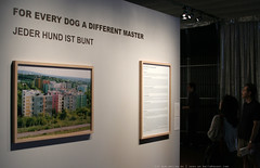 documenta 12 | Katerina Seda / For Every Dog A Different Master | 2007