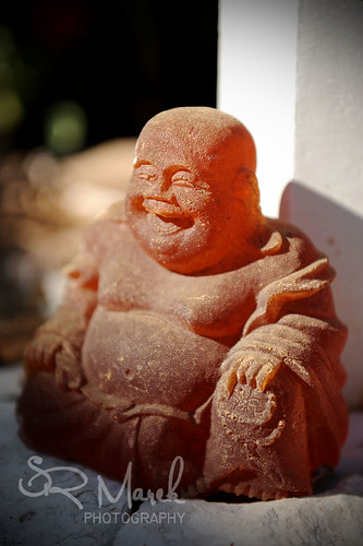 Buddha sun bathing
