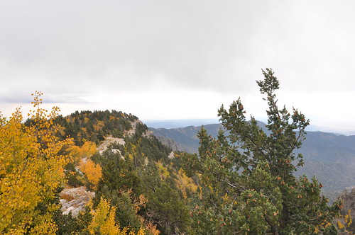 South from Sandia Crest