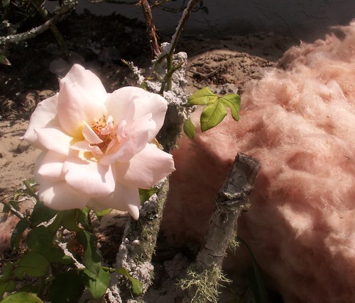 Insulation Rose