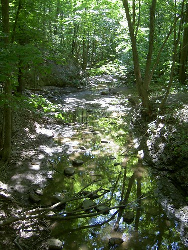 French Creek Reservation