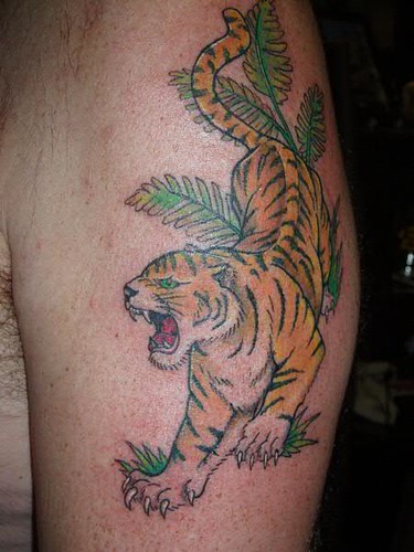 Here are some attacking lions and tigers tattoo designs