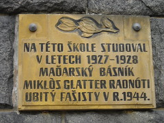 The sign commemorating Radnóti's studies