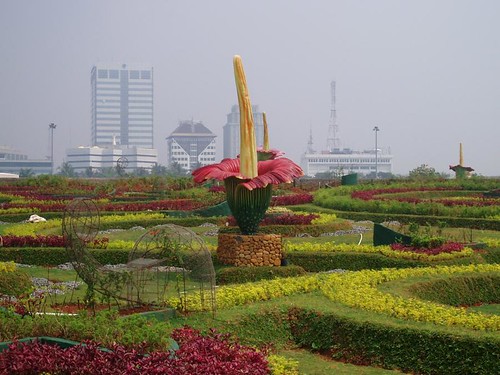 Jardín en Yakarta por Alimoni.