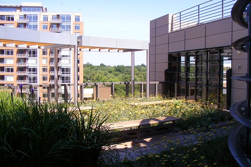 UniTher Green Roof (2)