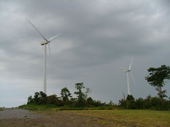 Buffalo Mountain Wind Turbines