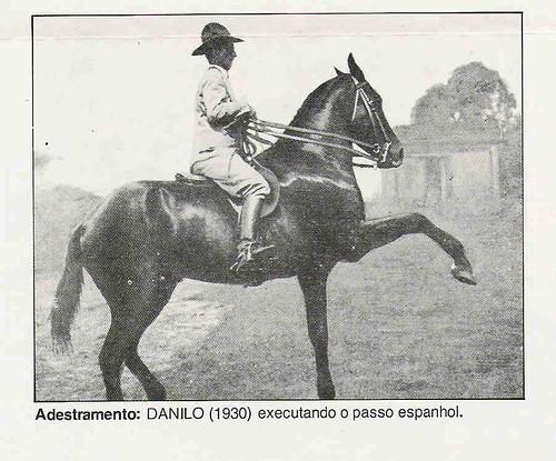 João Francisco D Junqueira montando Danilo