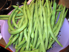 green_beans_7_2007