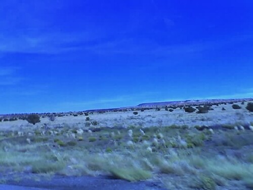 Western New Mexico