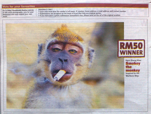 Smokey the Monkey won!