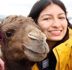 baby camel and me