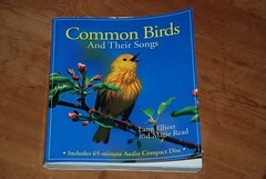 bird book 001