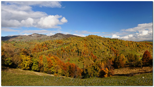 Autumn panorama - Note inside