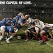 Rugby-world-cup
