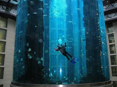 cylindrical aquarium4