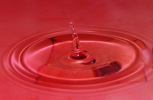 nikon d40 shots. Red Water Droplet - Nikon D40