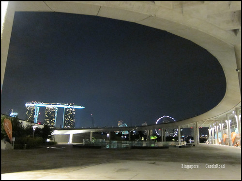 2010-10-31 新加坡 Singapore_37