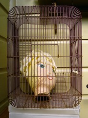 Head in a cage