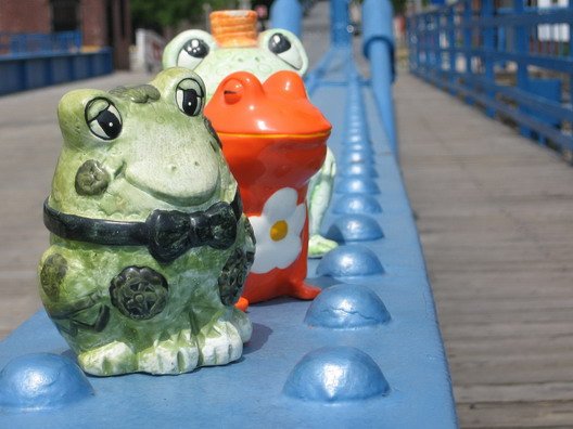 Carroll Street Bridge Frogs