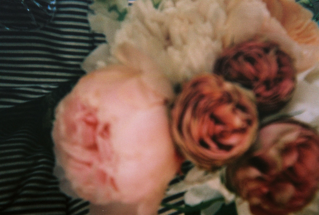 flowers lap
