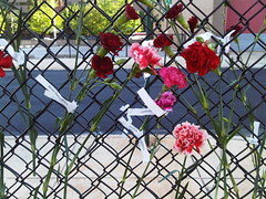 Flowers representing the Juárez victims