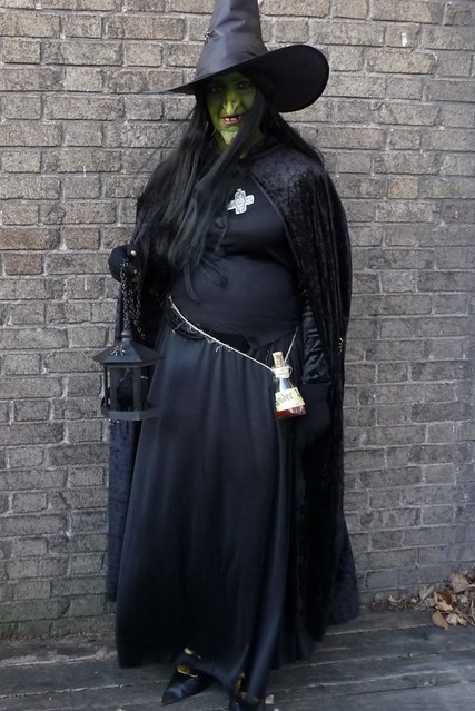 2010 Witch Costume