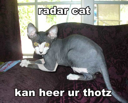 lol_radarcat