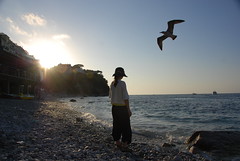 女人 海鸥 与 Capri海