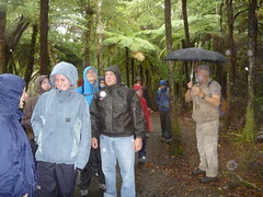 Students exploring Ark in the Park, a New Zealand rainforest