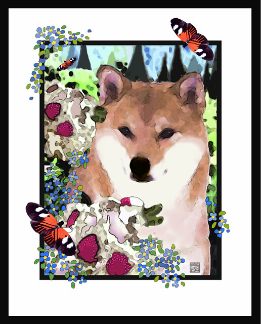 SHIBA INU NATIONAL SPECIALTY TROPHY (BUTTERFLY VERSION)